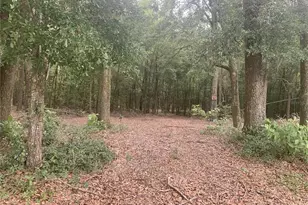 SW 20th St, Bell, FL 32619 - Photo 1