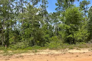 Holly Springs Ave, Alford, FL 32420 - Photo 1