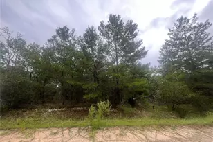 206 Wales St, Interlachen, FL 32148 - Photo 1