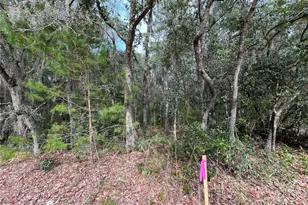 304 Gloria Ave, Interlachen, FL 32148 - Photo 1