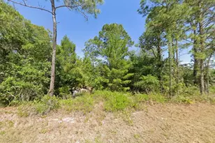 1001 Hummingbird St, Lake Placid, FL 33852 - Photo 1