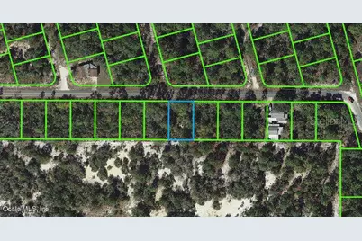 333 Moon Glow Avenue, Lake Placid, FL 33852 - Photo 1