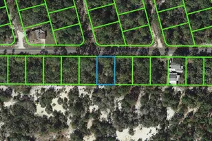 333 Moon Glow Ave, Lake Placid, FL 33852 - Photo 1