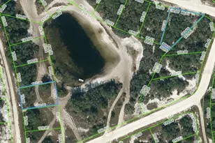 214 Rhythm Dr, Lake Placid, FL 33852 - Photo 1