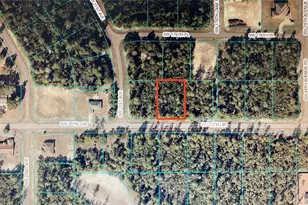Tba SW 25th Circle, Ocala, FL 34473 - Photo 1