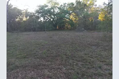 00 NE 141st Court, Fort Mc Coy, FL 32134 - Photo 1