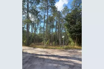 Tbd SW Corner Sw95 Ave\Sw 158 Ln, Dunnellon, FL 34432 - Photo 1