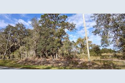 3 Malauka Radial Run, Ocklawaha, FL 32179 - Photo 1