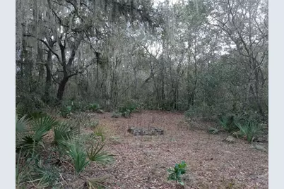 00000 NE 213 Place, Fort Mc Coy, FL 32134 - Photo 1