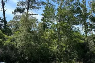 Tba SW 20 Ct Rd, Ocala, FL 34473 - Photo 1