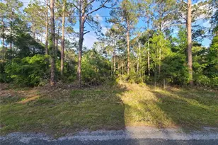 9263 N Bonsai Ave, Crystal River, FL 34428 - Photo 1