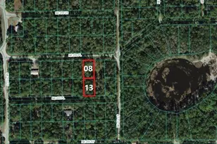 00 NE 236th Pl, Fort Mc Coy, FL 32134 - Photo 1