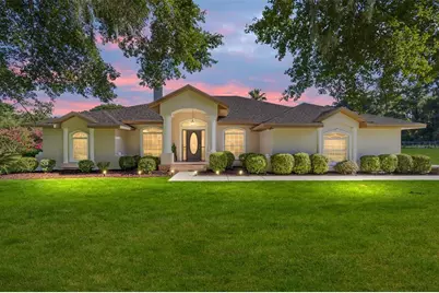 8585 W Hwy 318, Reddick, FL 32686 - Photo 1