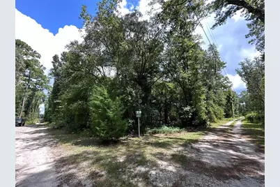 Tbd NE 166 Street, Fort Mc Coy, FL 32134 - Photo 1
