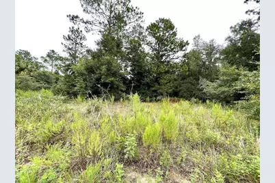 Begonia Court, Dunnellon, FL 34431 - Photo 1