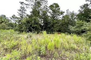 Begonia Ct, Dunnellon, FL 34431 - Photo 1