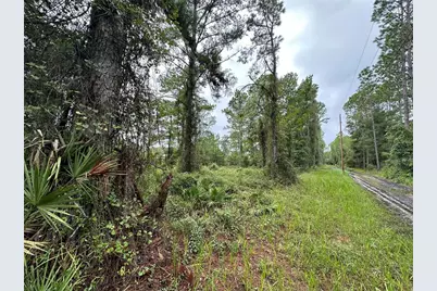 Tbd NE 155th Street, Fort Mc Coy, FL 32134 - Photo 1