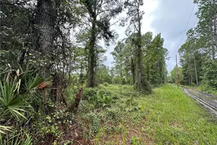 Tbd NE 155th St, Fort Mc Coy, FL 32134 - Photo 1