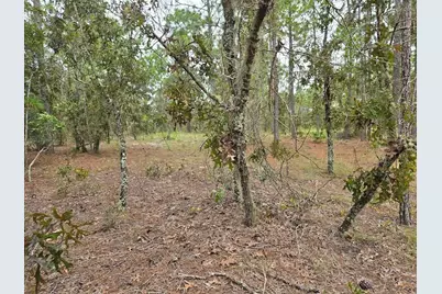 Sw Mango Lane, Dunnellon, FL 34432 - Photo 1