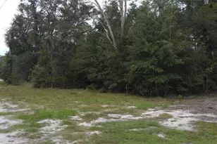 Tbd NE 127th Pl, Bronson, FL 32621 - Photo 1