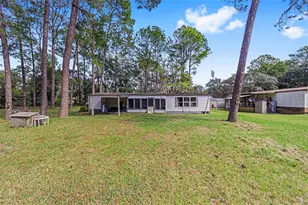 4225 E Fort Apache Pl, Dunnellon, FL 34434 - Photo 1