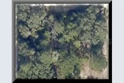 Tbd NE 141st Court, Fort Mc Coy, FL 32134 - Photo 1