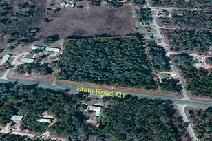 Tbd NE State Road 121, Williston, FL 32696 - Photo 1