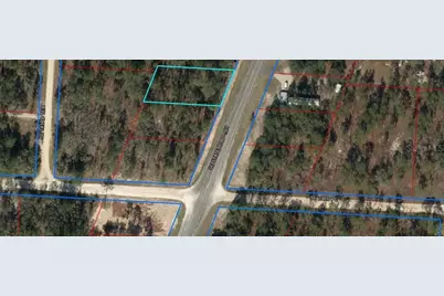 2290 SE State Road 121, Morriston, FL 32668 - Photo 1