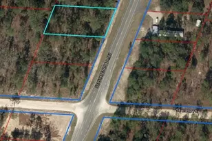 2290 SE State Road 121, Morriston, FL 32668 - Photo 1