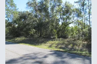 00 SE 169th Court, Ocklawaha, FL 32179 - Photo 1