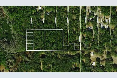 Tbd NE 137th Court, Fort Mc Coy, FL 32134 - Photo 1