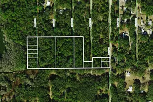Tbd NE 137th Ct, Fort Mc Coy, FL 32134 - Photo 1