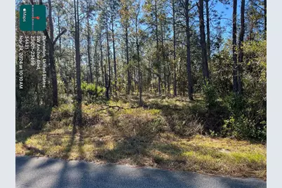 Tbd SW Anchor Blvd, Dunnellon, FL 34431 - Photo 1