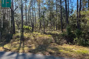 Tbd SW Anchor Blvd, Dunnellon, FL 34431 - Photo 1