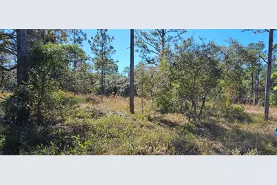 Lots 34 & 35 SW Mango Lane, Dunnellon, FL 34431 - Photo 1