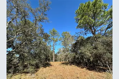 14731 SE 5th Place, Williston, FL 32696 - Photo 1