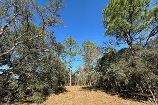 14731 SE 5th Pl, Williston, FL 32696 - Photo 1