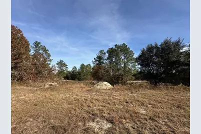 Tbd SW 88th Court, Dunnellon, FL 34432 - Photo 1