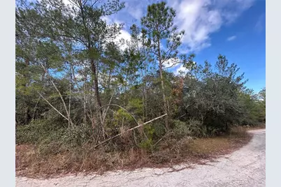 Tbd NE 236 Place, Fort Mc Coy, FL 32134 - Photo 1