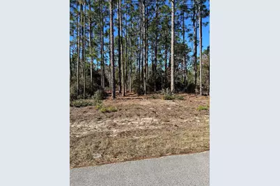 00 SW 209th Avenue, Dunnellon, FL 34431 - Photo 1