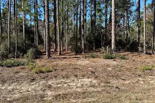 00 SW 209th Ave, Dunnellon, FL 34431 - Photo 1