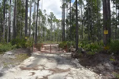 Ne 130th Ave, Fort Mc Coy, FL 32134 - Photo 1