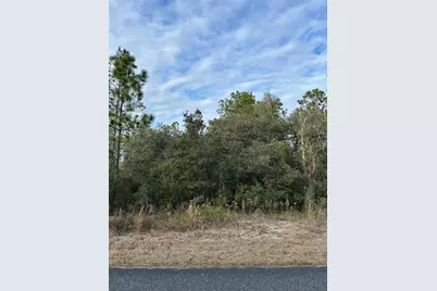Sw Huckleberry Lane, Dunnellon, FL 34431 - Photo 1