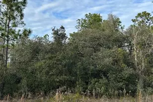 SW Huckleberry Ln, Dunnellon, FL 34431 - Photo 1