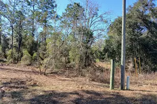 5490 W Mannis Ct, Homosassa, FL 34446 - Photo 1