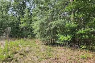 SW 15th St, Ocala, FL 34481 - Photo 1