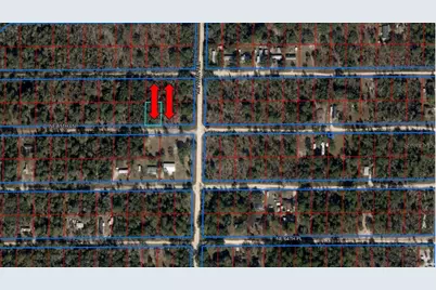 Tba NE 66 Street/65 Lane, Williston, FL 32696 - Photo 1