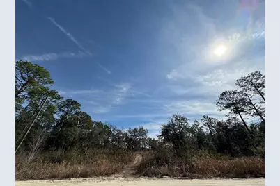 Sw 175th Court, Dunnellon, FL 34432 - Photo 1