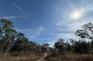 SW 175th Ct, Dunnellon, FL 34432 - Photo 1