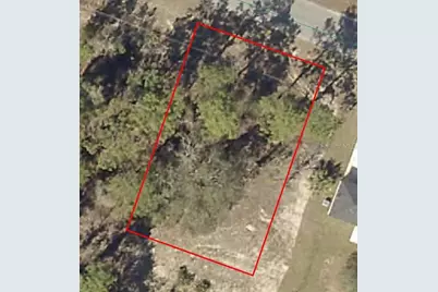 Malauka Radial, Ocklawaha, FL 32179 - Photo 1